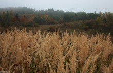 sowacja, zdjcia sowacji, gry, fotografie gr, pejzae, zdjcia grskie, zdjcia z bobrownika - Sowacja, Bobrovnik