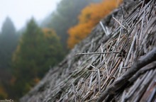 sowacja, zdjcia sowacji, gry, fotografie gr, pejzae, zdjcia grskie, zdjcia z bobrownika - Sowacja, Bobrovnik