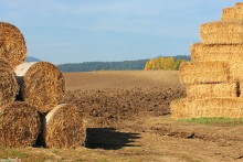 sowacja, zdjcia sowacji, gry, fotografie gr, pejzae, zdjcia grskie, zdjcia z bobrownika - Sowacja, Bobrovnik