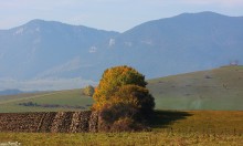 sowacja, zdjcia sowacji, gry, fotografie gr, pejzae, zdjcia grskie, zdjcia z bobrownika - Sowacja, Bobrovnik