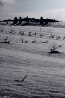 zdjcia z czorsztyna, zimowe fotografie niedzica, zdjcia gr, gry zim - Zimowy Czorsztyn, Niedzica