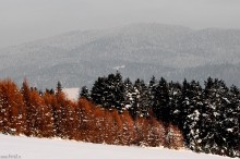 zdjcia z czorsztyna, zimowe fotografie niedzica, zdjcia gr, gry zim - Zimowy Czorsztyn, Niedzica