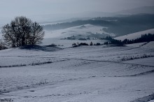 zdjcia z czorsztyna, zimowe fotografie niedzica, zdjcia gr, gry zim - Zimowy Czorsztyn, Niedzica