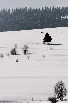 zdjcia z czorsztyna, zimowe fotografie niedzica, zdjcia gr, gry zim - Zimowy Czorsztyn, Niedzica