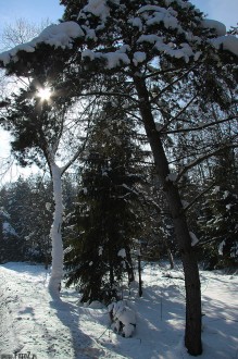 zdjcia z czorsztyna, zimowe fotografie niedzica, zdjcia gr, gry zim - Zimowy Czorsztyn, Niedzica