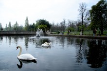 hyde park london,abadz, park w londynie, abdzie, fontanna, natura, przyroda - Poetyczny Krajobraz