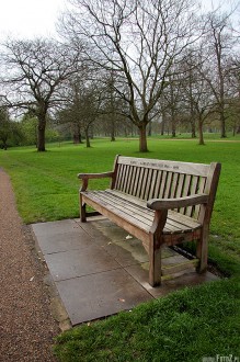 hyde park london, park w londynie, natura, ziele, przyroda, malowniczy - Romantyczna aweczka