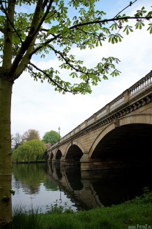 hyde park london, park w londynie, natura, ziele, przyroda, malowniczy, most, rzeka, jezioro - Odbicie lustrzane