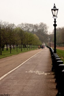 hyde park london, park w londynie, natura,  przyroda, malowniczy, drki - cieka rowerowa