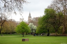Londyn, zabytki, rezydencja brytyjskich monarchw, paac krlewski, przyroda, London - Park przy Buckingham Palace