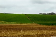 przyroda, krajobraz, ziele, angielskie widoki, zielono mi - Pola uprawne