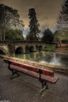 Salisbury, rzeka, awka, most, przyroda - Nad rzek Avon