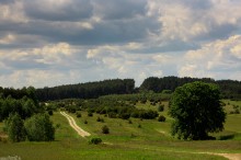 pole na jurze krakowsko-czstochowskiej - Zielona kraina