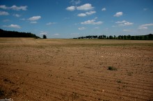 rozlege pole piaskowe na jurze krakowsko-czstochowskiej - Suche pole