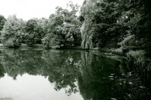 zdjcia z parku w Pszczynie, fotografie Pszczyna - Park w Pszczynie