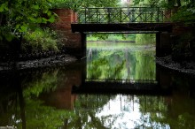 zdjcia z parku w Pszczynie, fotografie Pszczyna - Park w Pszczynie