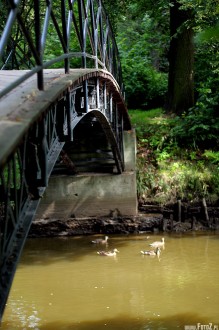 zdjcia z parku w Pszczynie, fotografie Pszczyna - Park w Pszczynie