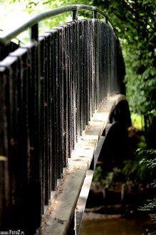 zdjcia z parku w Pszczynie, fotografie Pszczyna - Park w Pszczynie