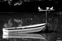 zdjcia z parku w Pszczynie, fotografie Pszczyna - Park w Pszczynie