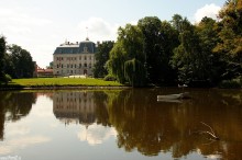 zdjcia z parku w Pszczynie, fotografie Pszczyna - Park w Pszczynie