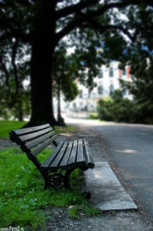 zdjcia z parku w Pszczynie, fotografie Pszczyna - Park w Pszczynie