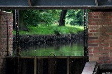 zdjcia z parku w Pszczynie, fotografie Pszczyna - Park w Pszczynie