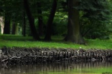 zdjcia z parku w Pszczynie, fotografie Pszczyna - Park w Pszczynie