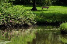 zdjcia z parku w Pszczynie, fotografie Pszczyna - Park w Pszczynie