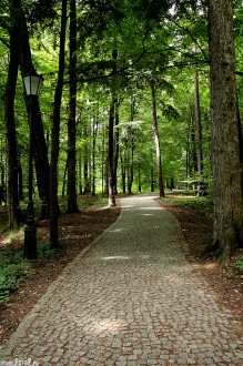 zdjcia z parku w Pszczynie, fotografie Pszczyna - Park w Pszczynie