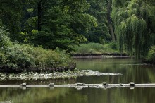 zdjcia z parku w Pszczynie, fotografie Pszczyna - Park w Pszczynie