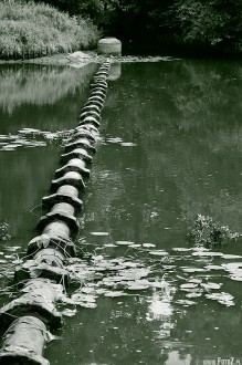 zdjcia z parku w Pszczynie, fotografie Pszczyna - Park w Pszczynie